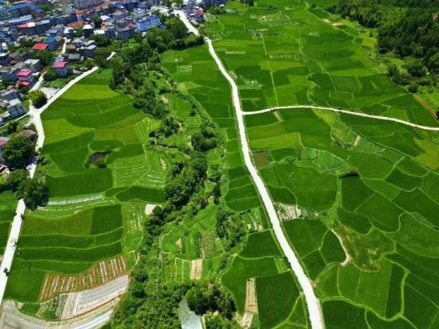 吉安市農(nóng)業(yè)農(nóng)村局 推動(dòng)政府信息公開(kāi)與職業(yè)技能培訓(xùn)融合發(fā)展